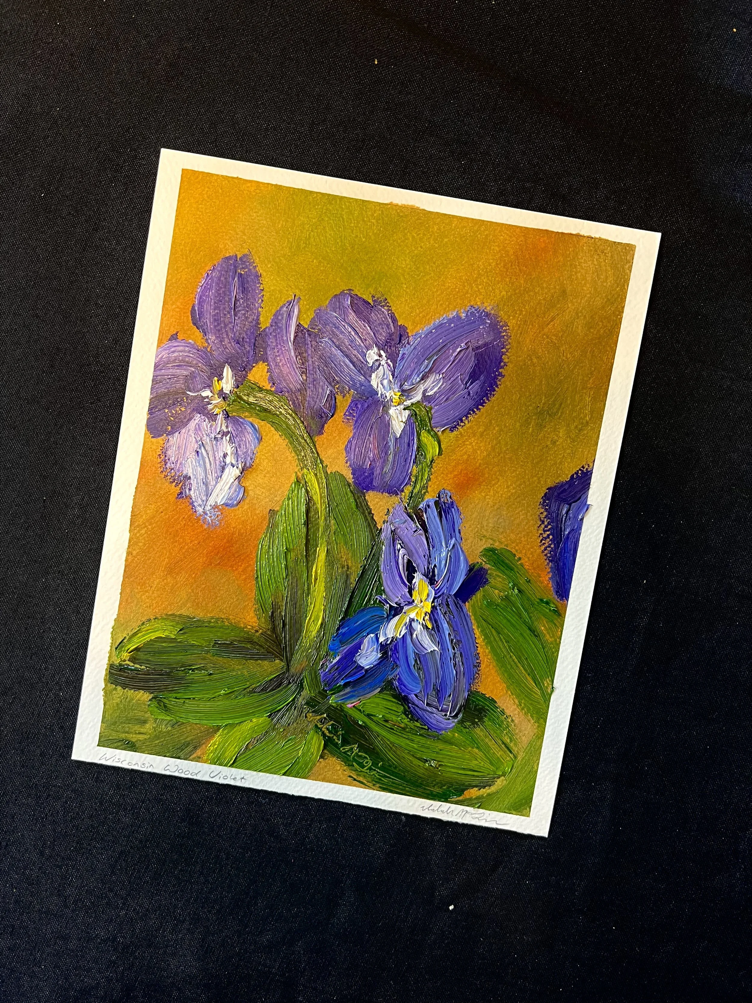 Wisconsin Wood Violet