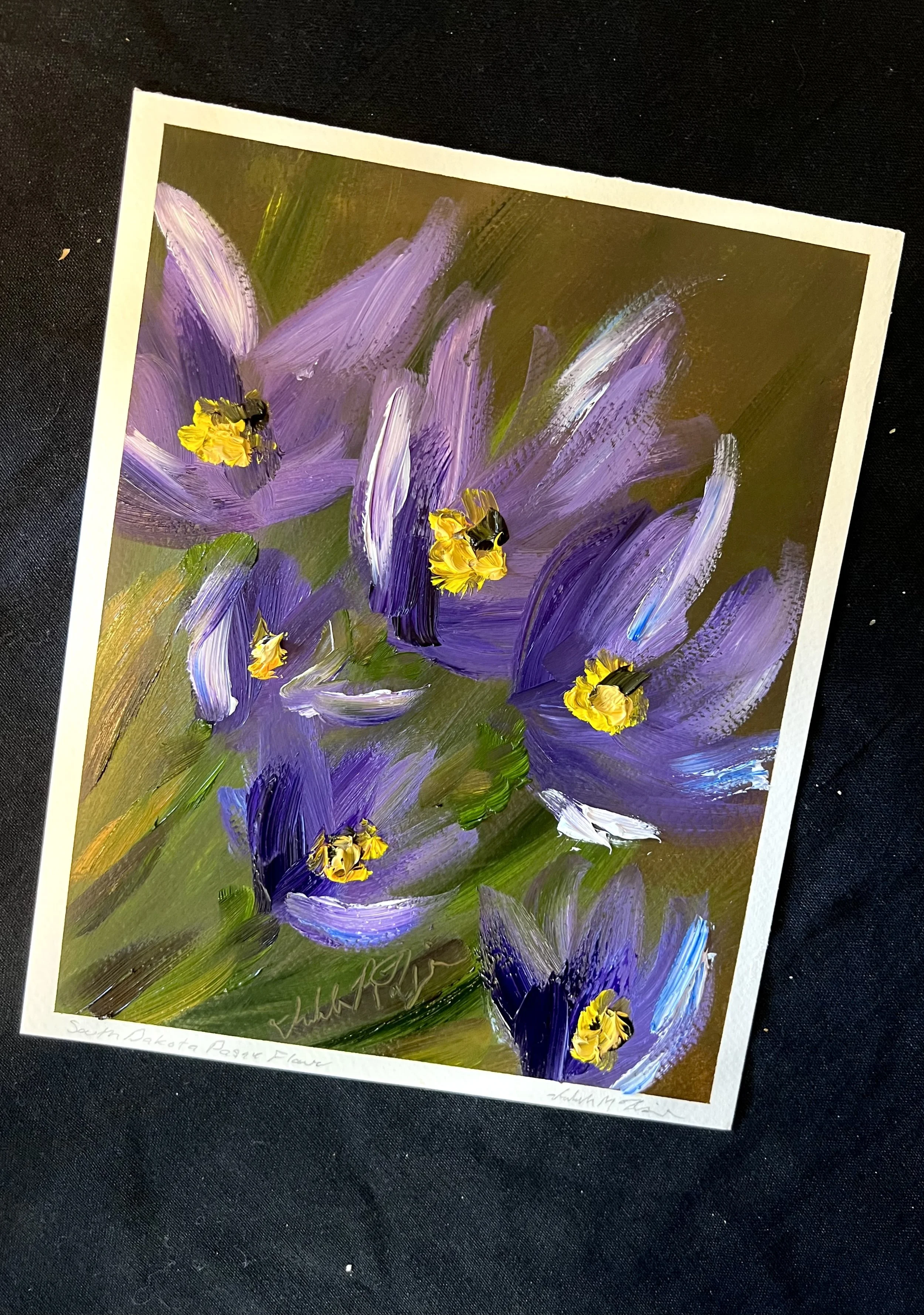 South Dakota Pasque Flower.jpeg