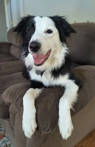 COOPER