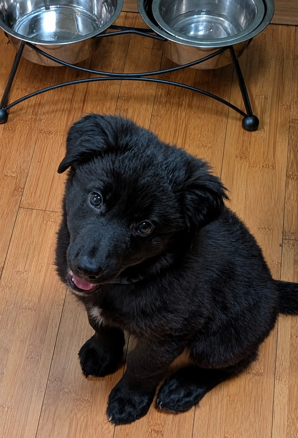KAL