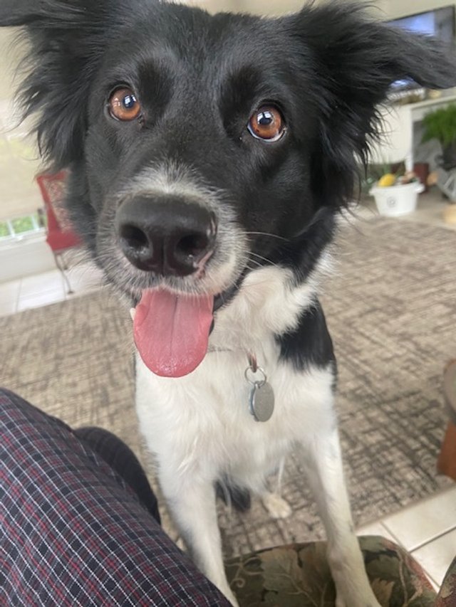 LUNA