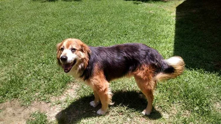 Max
