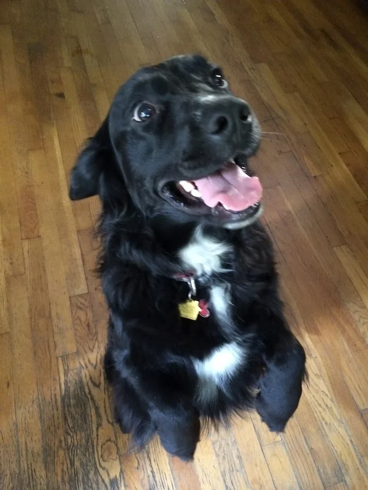 SAMMY