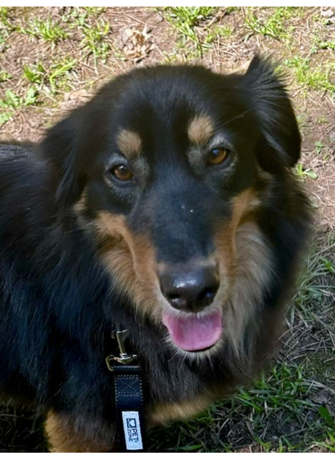 TIA