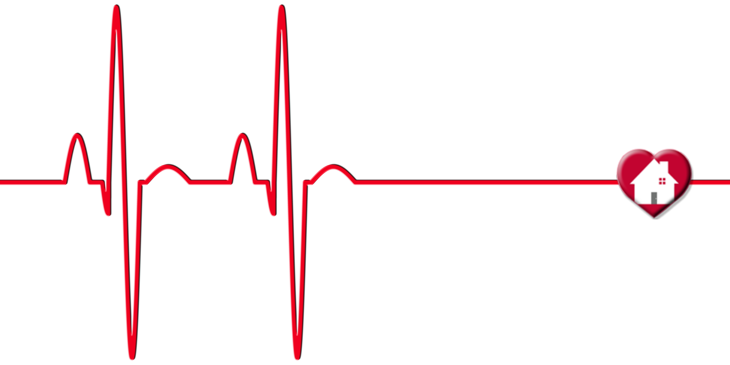 Heart and Home Orlando HOMEPulse (1).png