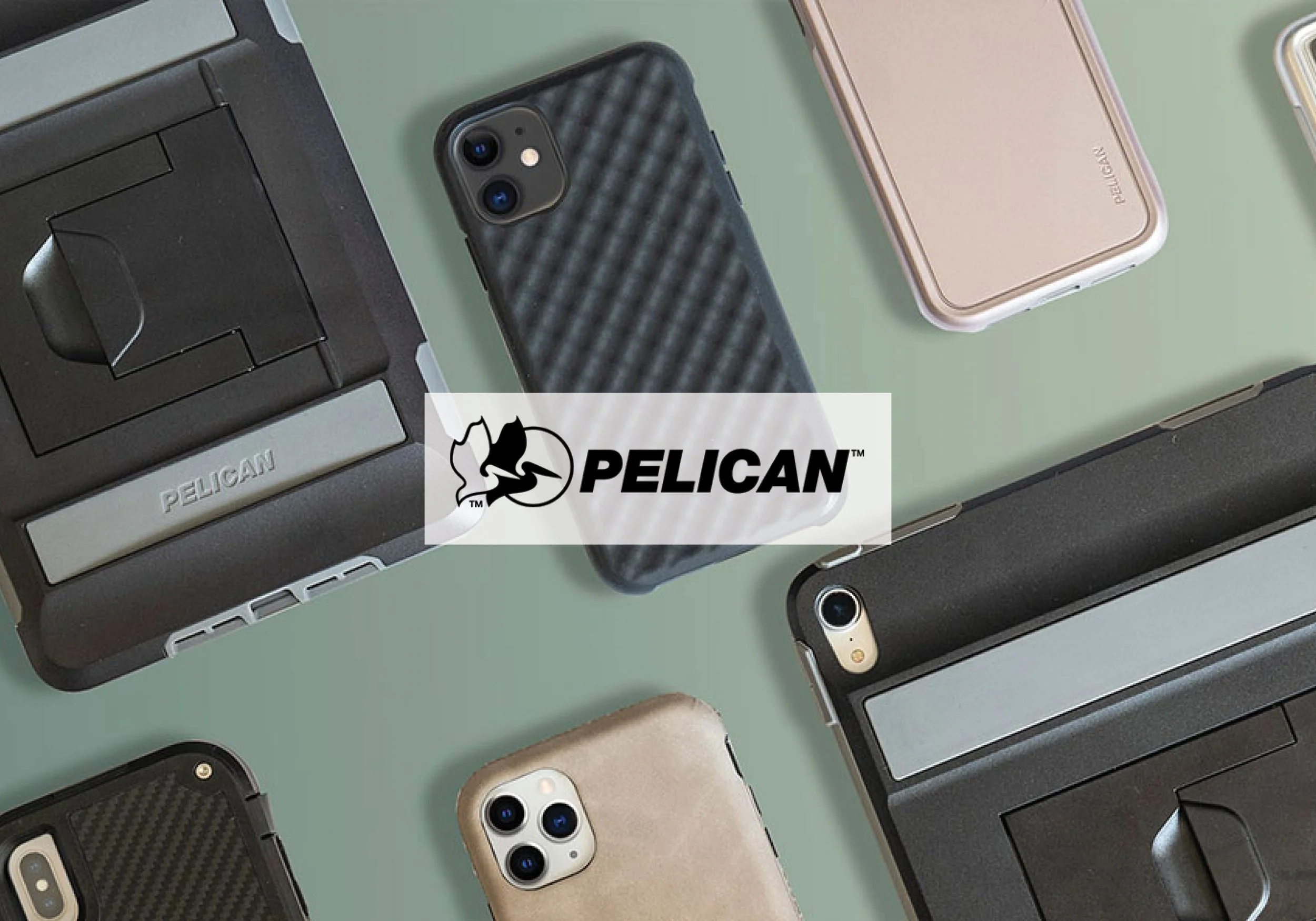 Pelican