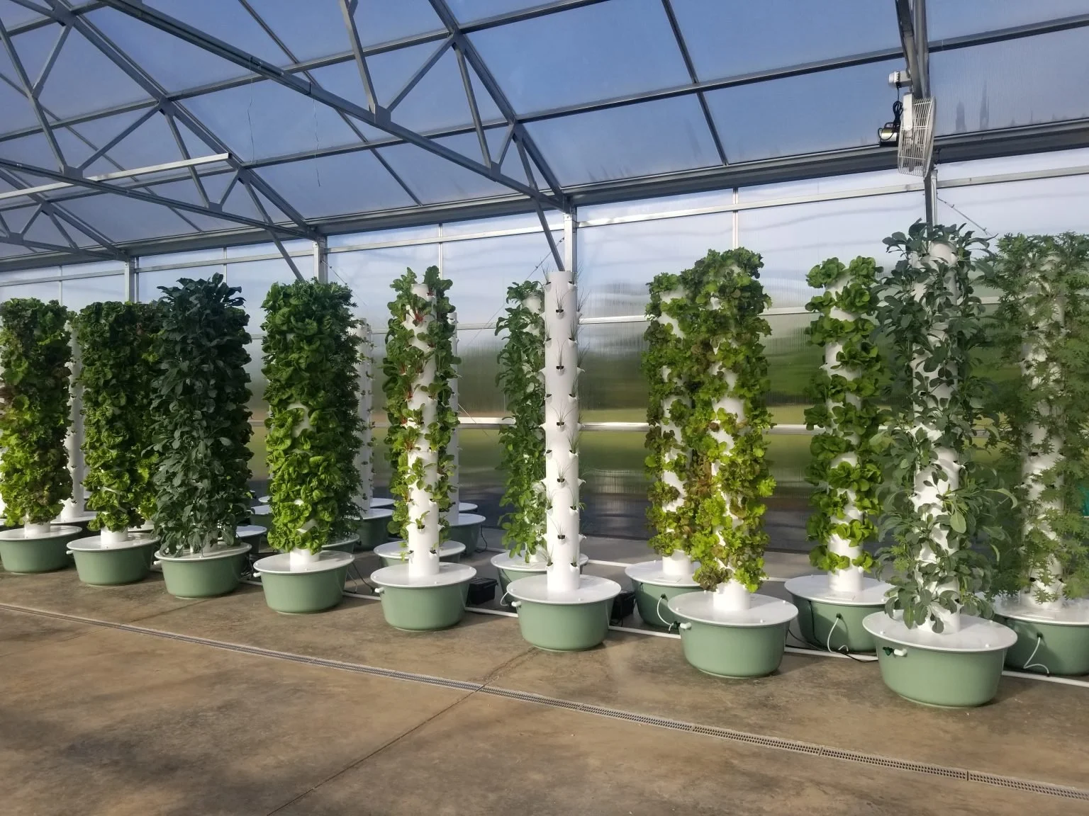 Revolutionizing Agriculture: The Story of Grow Space Vertical Farms