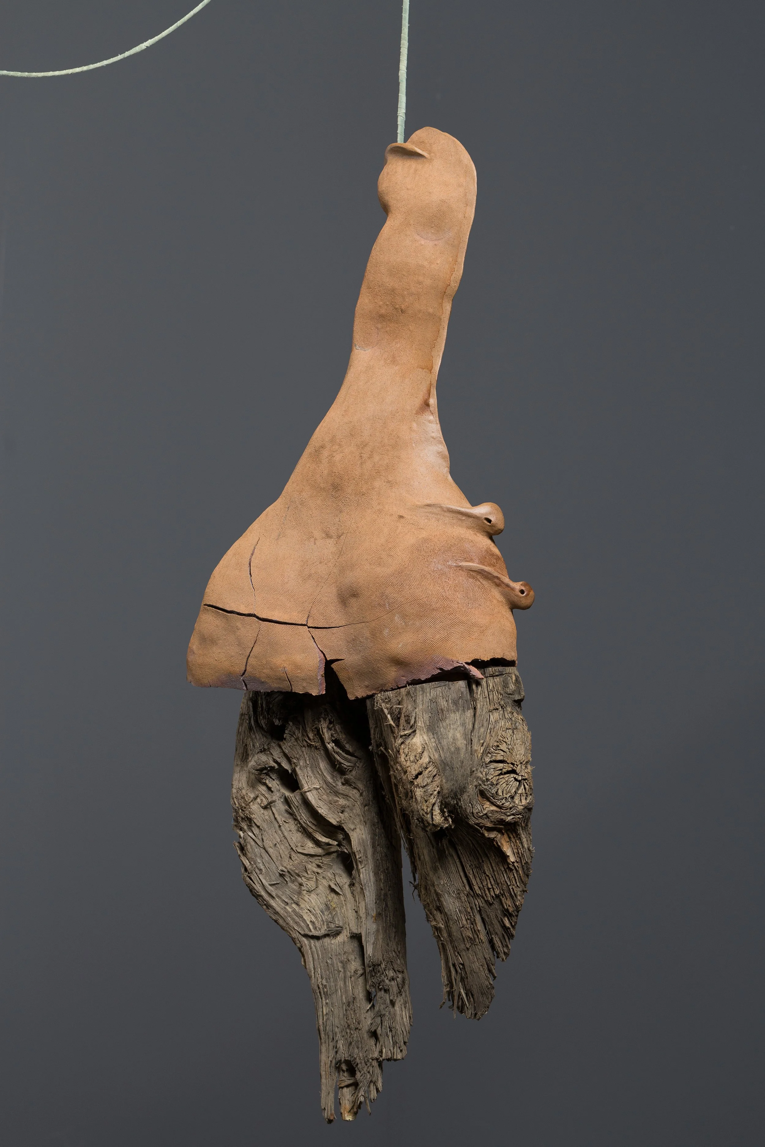 Rosalie Wammes (photo Tommy Smits)-6251.jpg