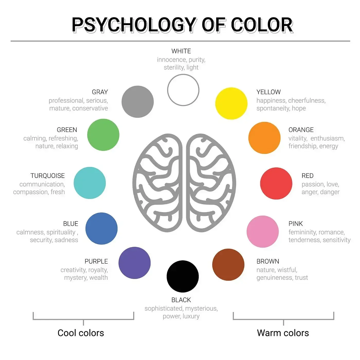 phycolor.webp