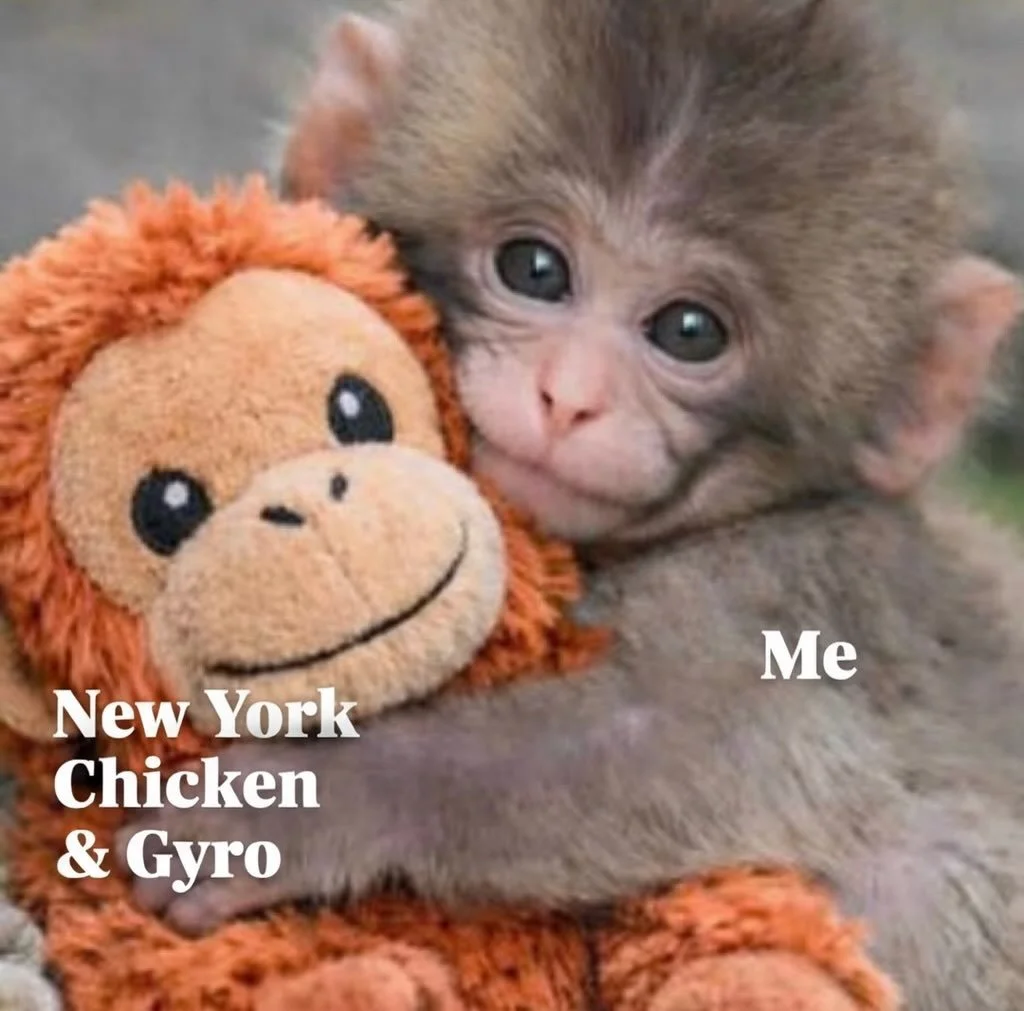 Current Mood&hellip;&hellip;&hellip; 

#punch #punchmonkey #gyro #meme