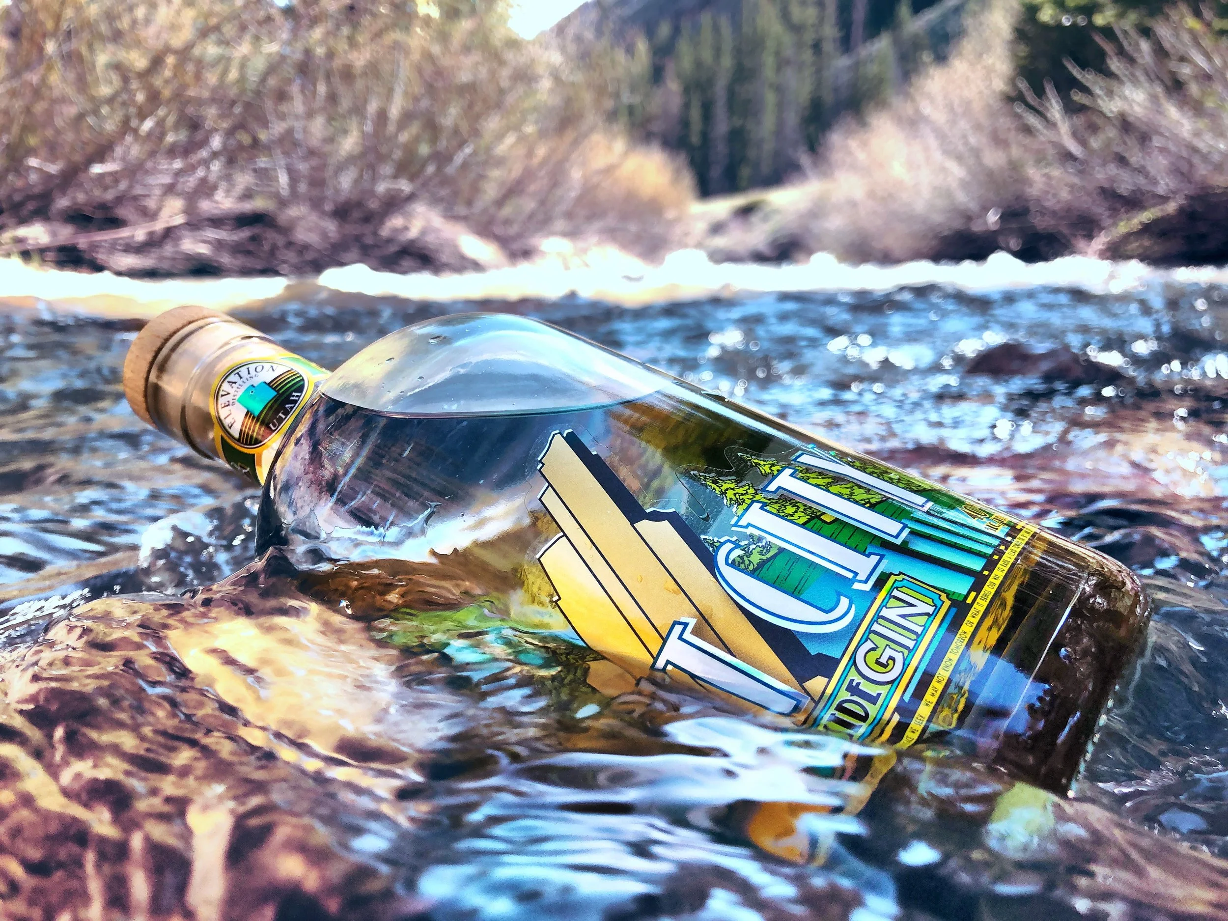 Salt City Lakeside GIN