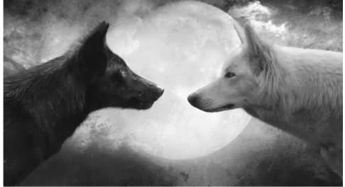 A Couple of Relationship Truths