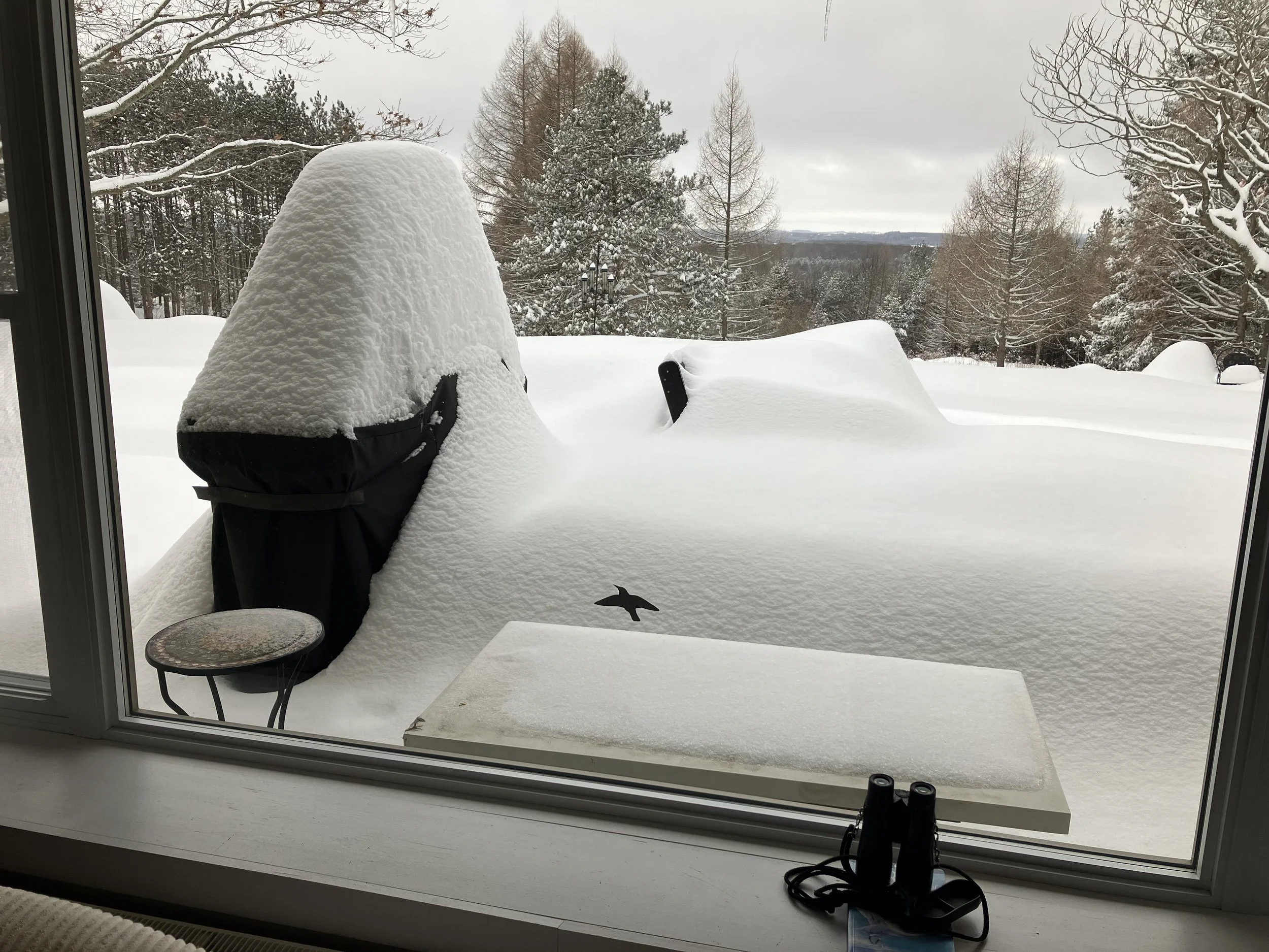 Collective Crisis of Collapse