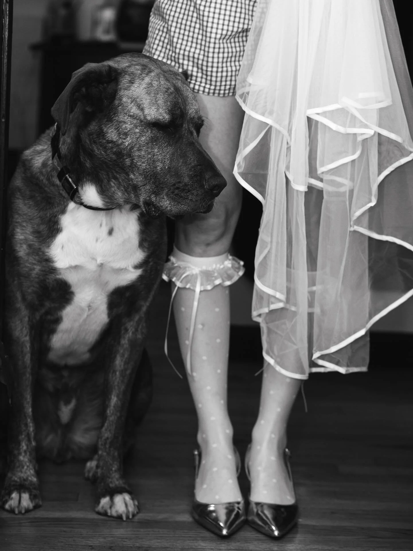 11 days till these two get married! #laphotographer #laengagementphotographer #californiaphotographers #engagement💍  @alliewess @ccrozen