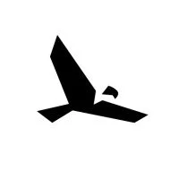 Silhouette of a bird in flight.