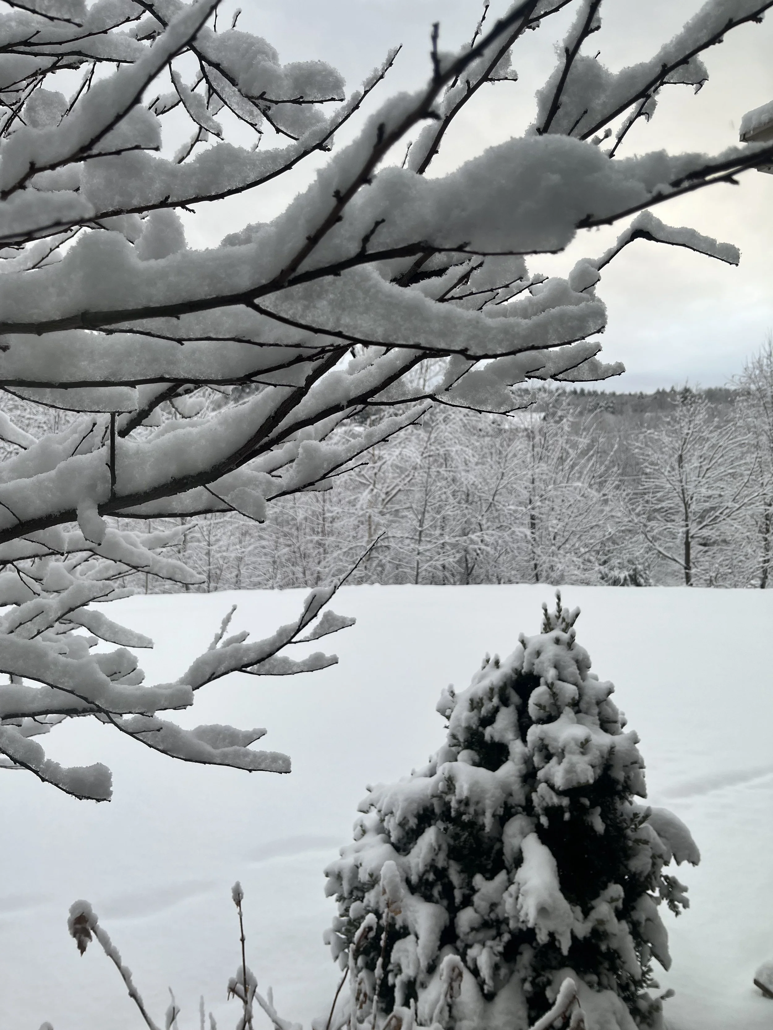 It’s February. And I’m tired.