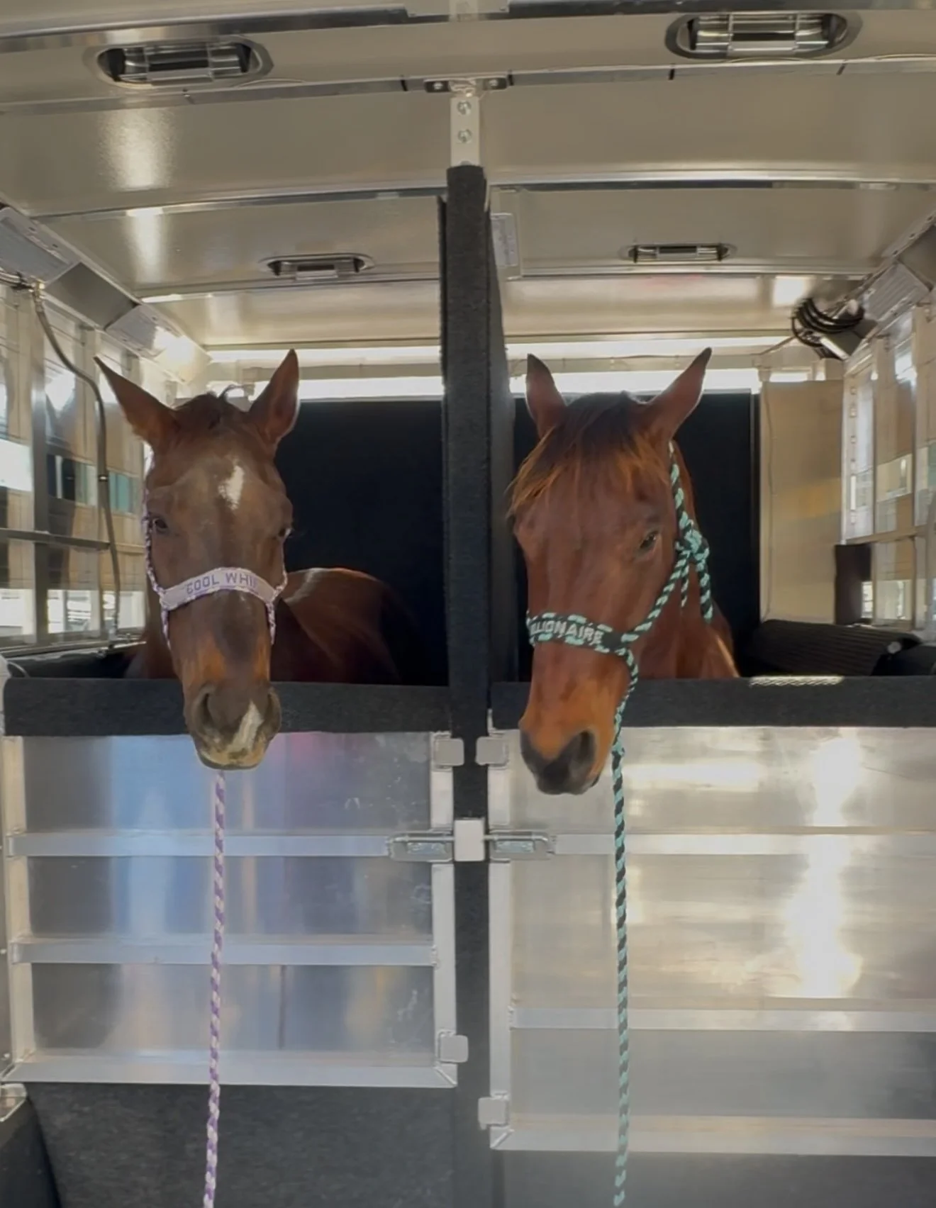 FullSizeRender (5).JPG