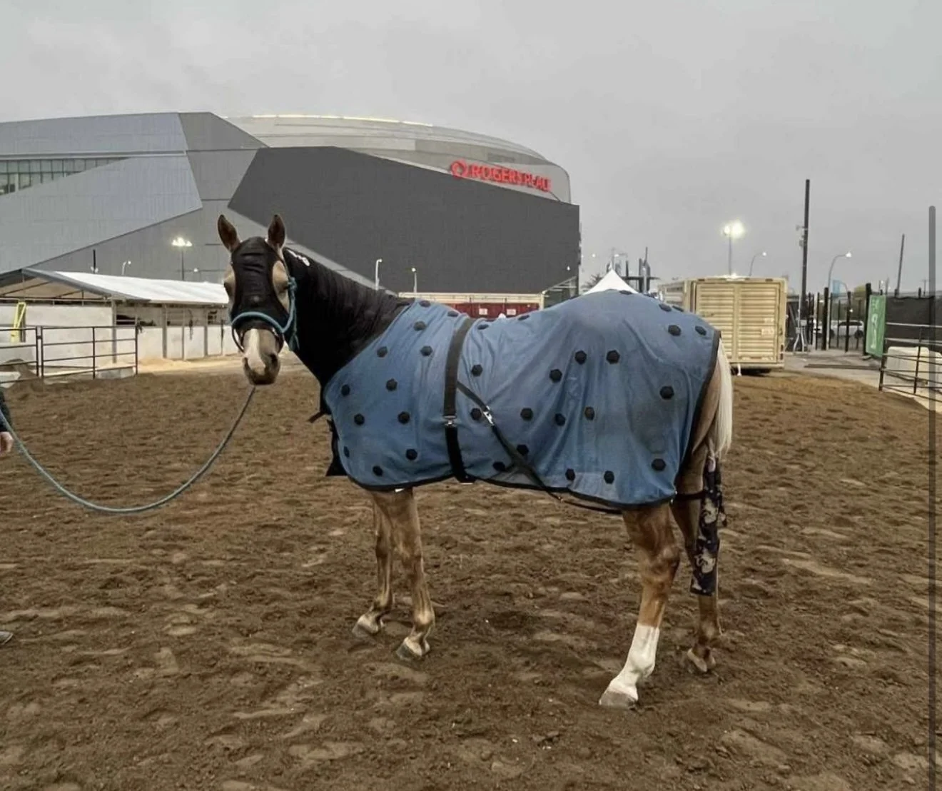 XLR8 Velocity Sheet — 30 Minute PEMF Session