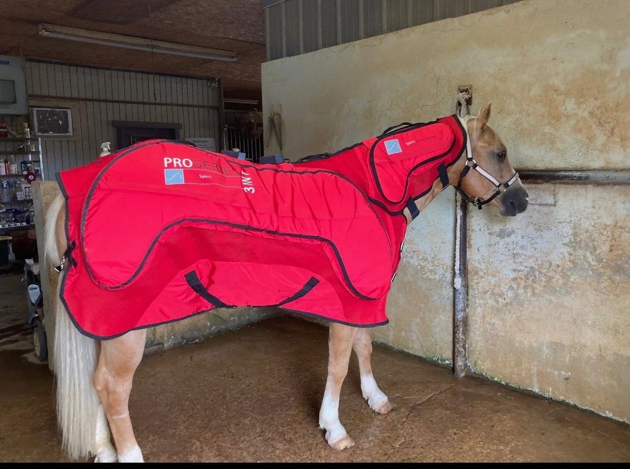 A light brown horse wearing a bright red PEMF blanket standing inside a stable, facing a wall.