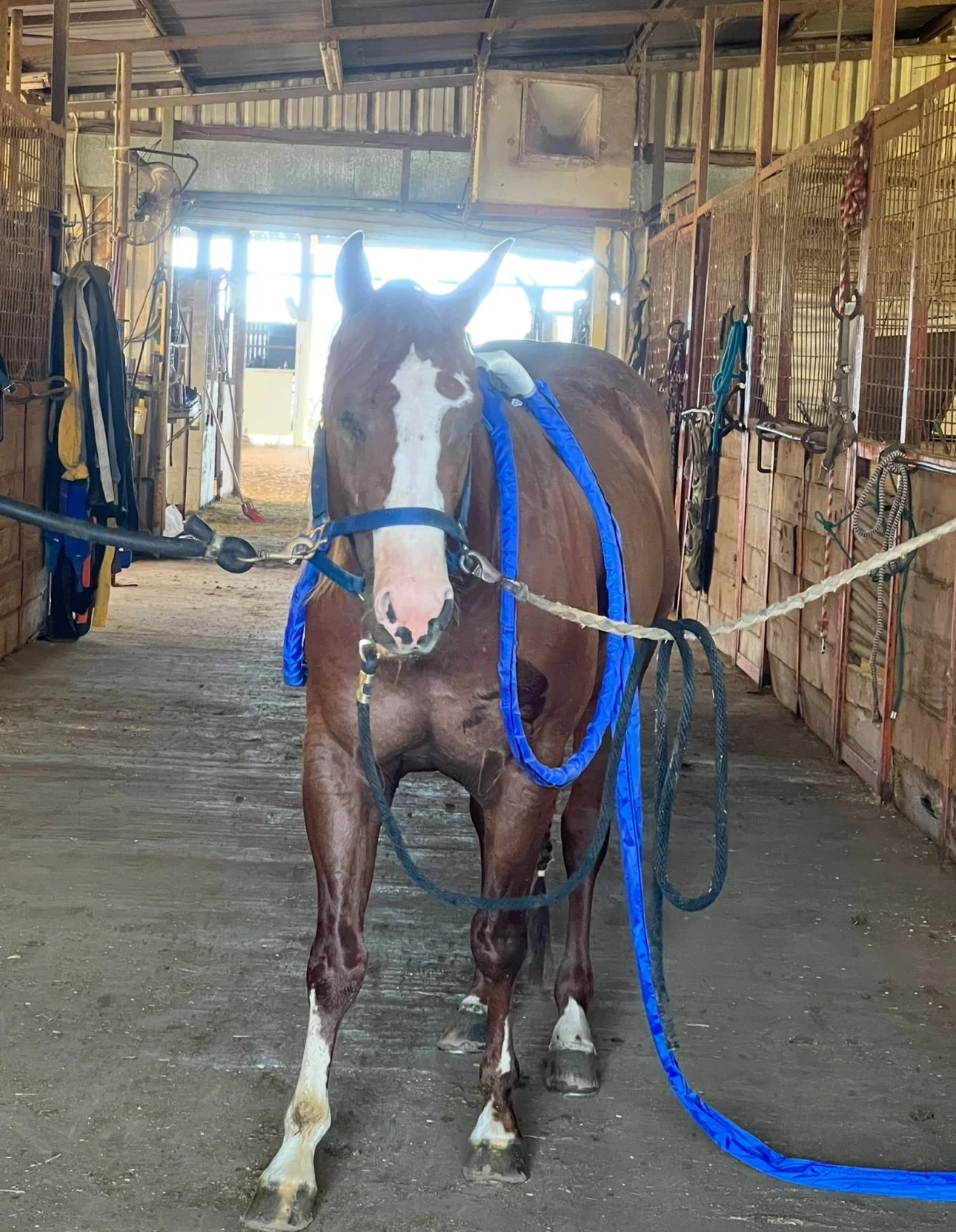 MagnaWave PEMF Treatment