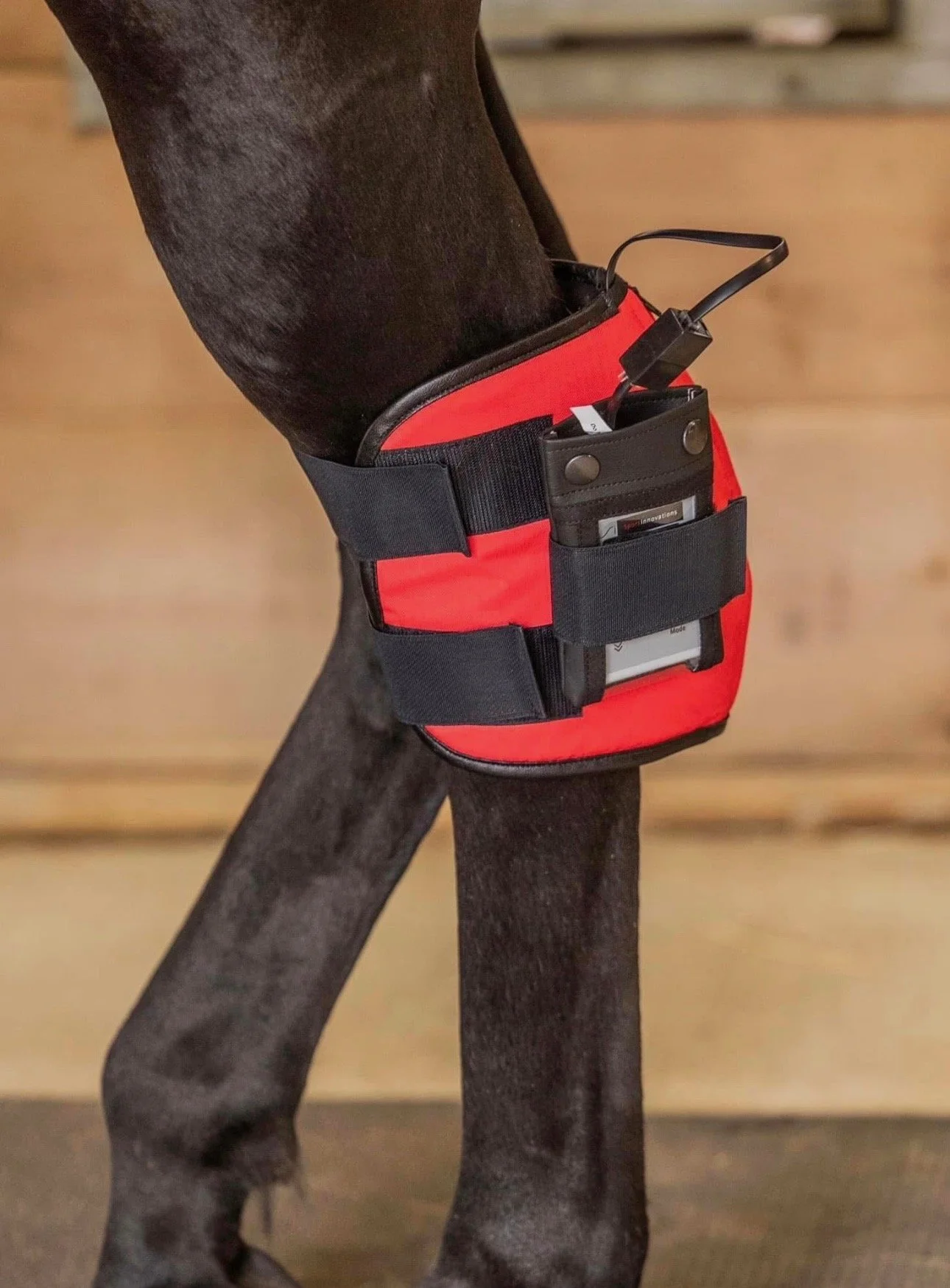 A black dog wearing a red and black utility vest with pockets, holding various electronic devices and accessories.
