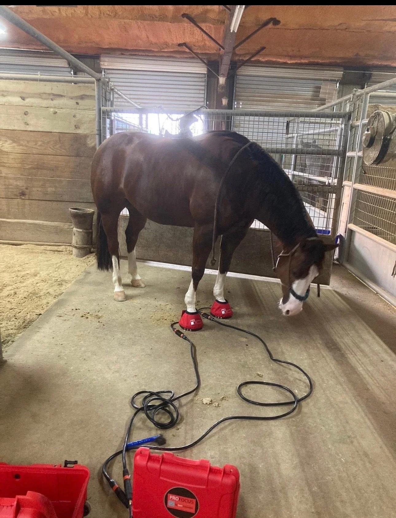 XLR8 Redline Bell Boot Session