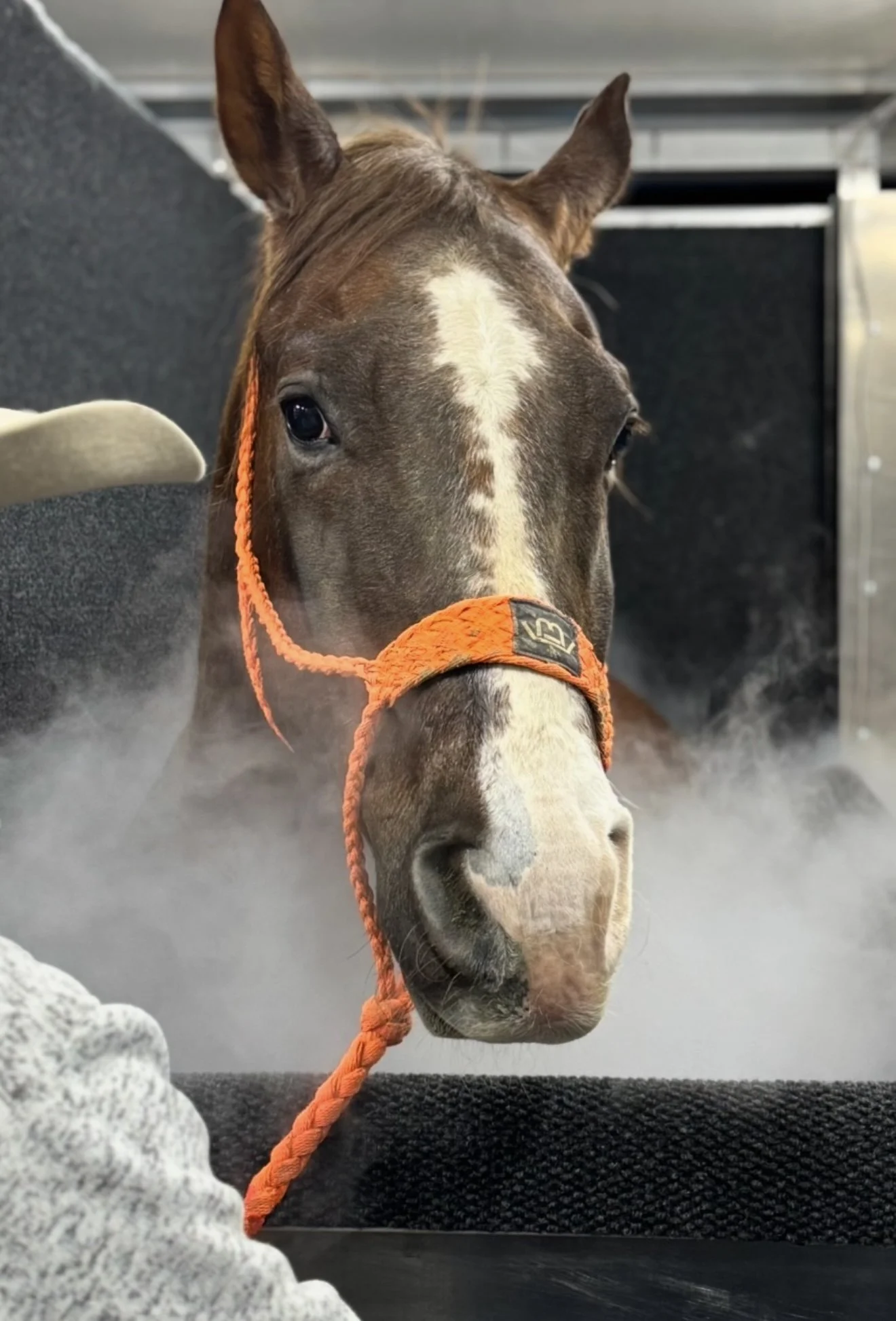 FullSizeRender (4).JPG