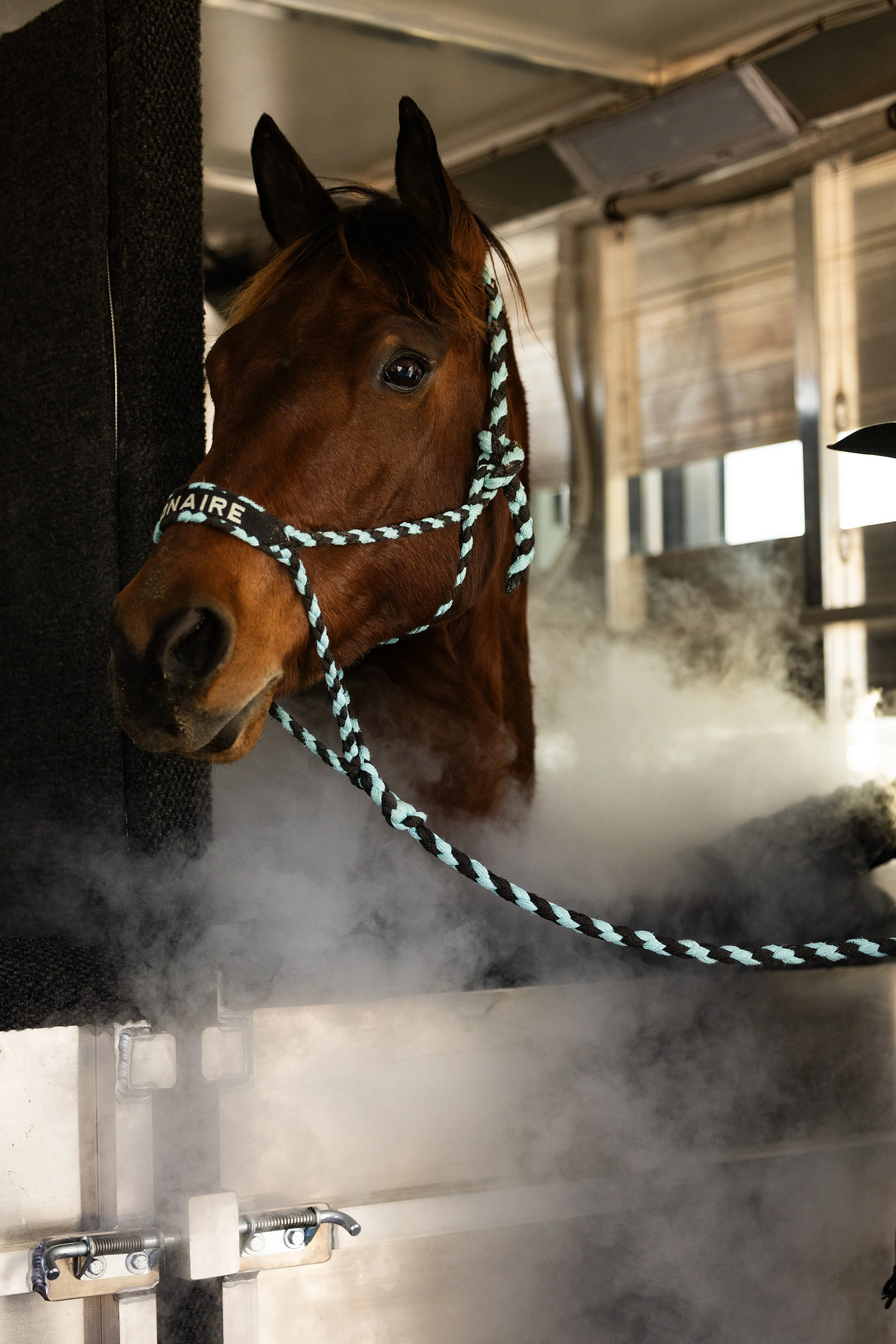 BM1A3564 copy (2).JPG