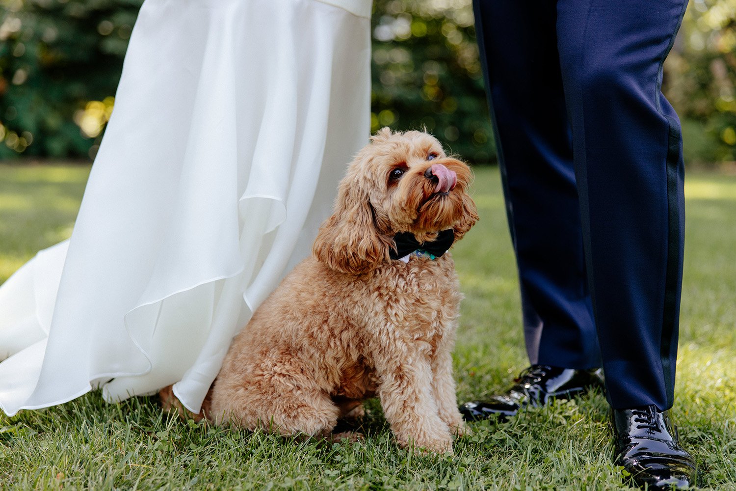 louie-abellera-photography-2.JPG