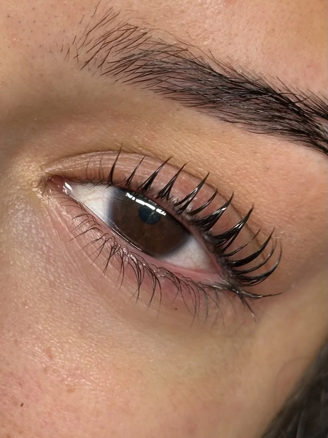 Close-up of a human eye with brown iris, long eyelashes, and well-defined eyebrow.