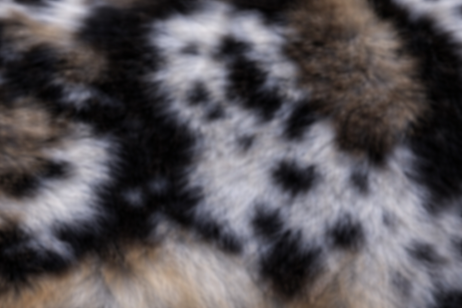 Blue merle patterning