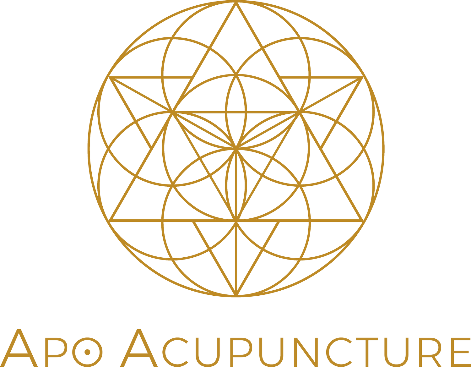 Apo Acupuncture