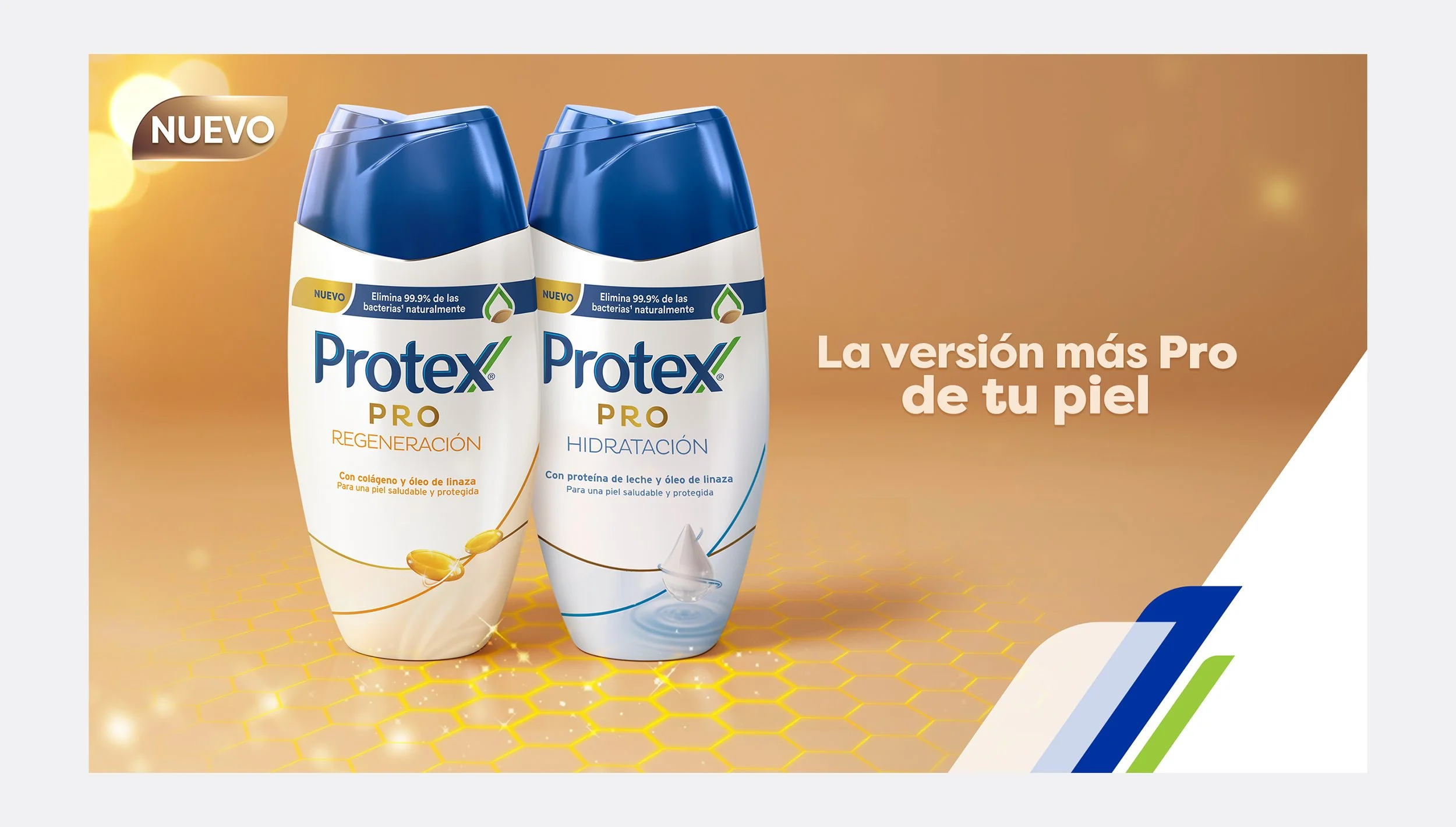 1-PROTEX.jpg
