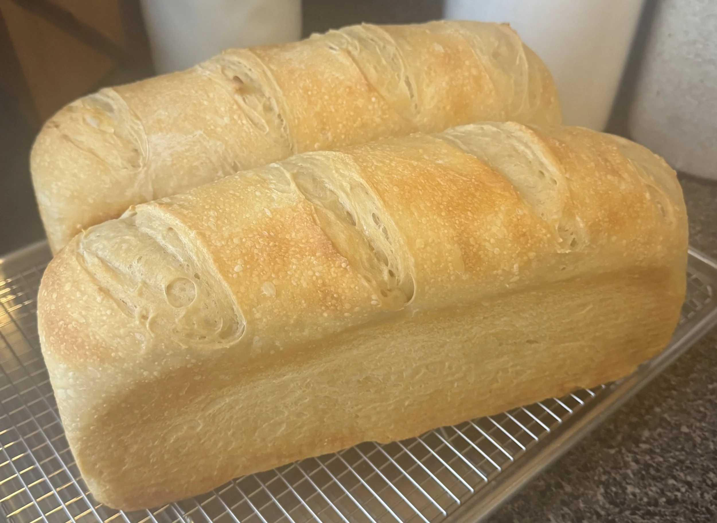 Plain Sourdough Sandwich Loaf