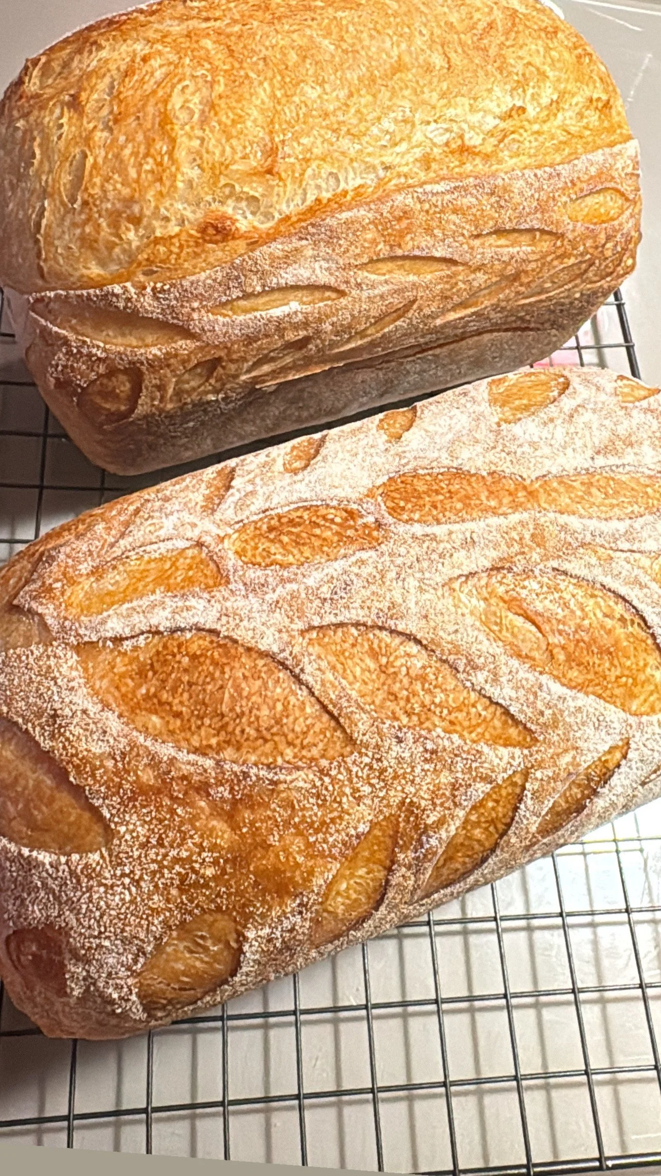 Plain Rustic Sourdough Loaf