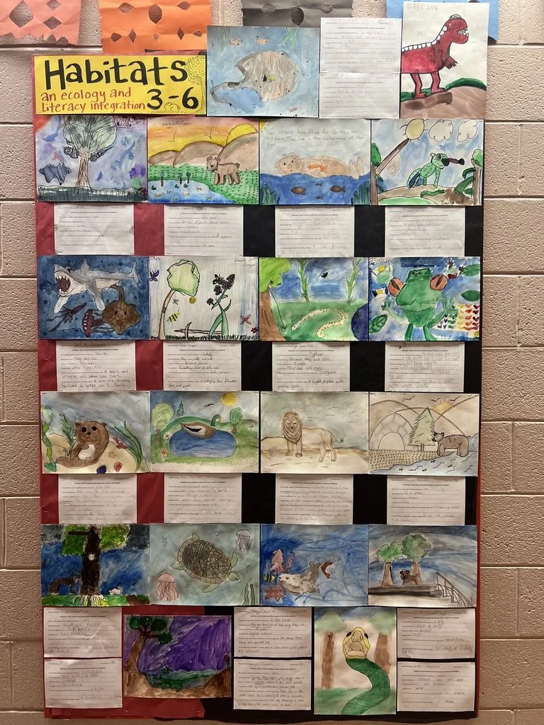 Bulletin board showcasing student work and artist statements