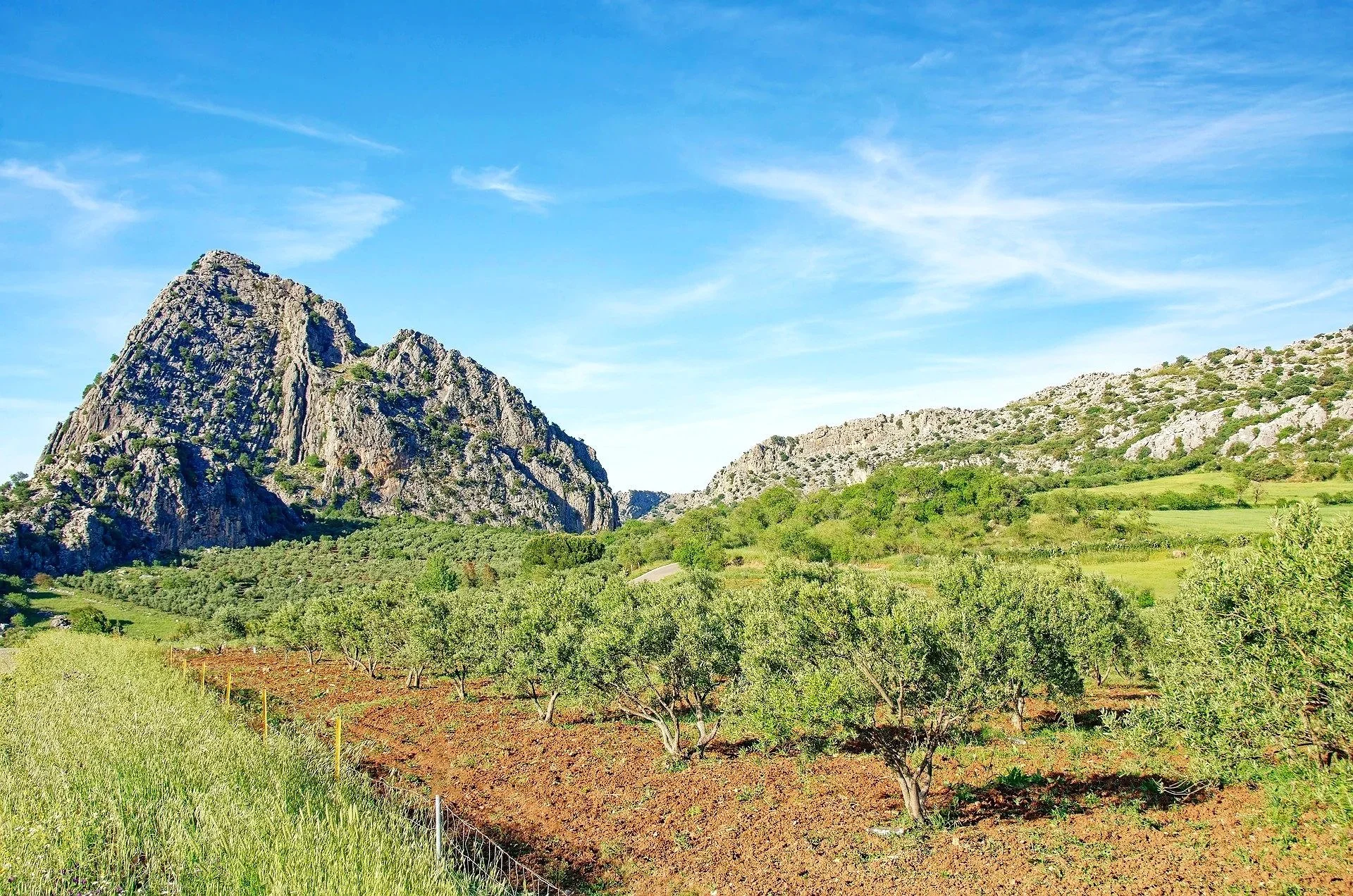 Western landscape with trees, shrubs, wild grass, and large rock formations in the background. Blue sky with small white clouds.