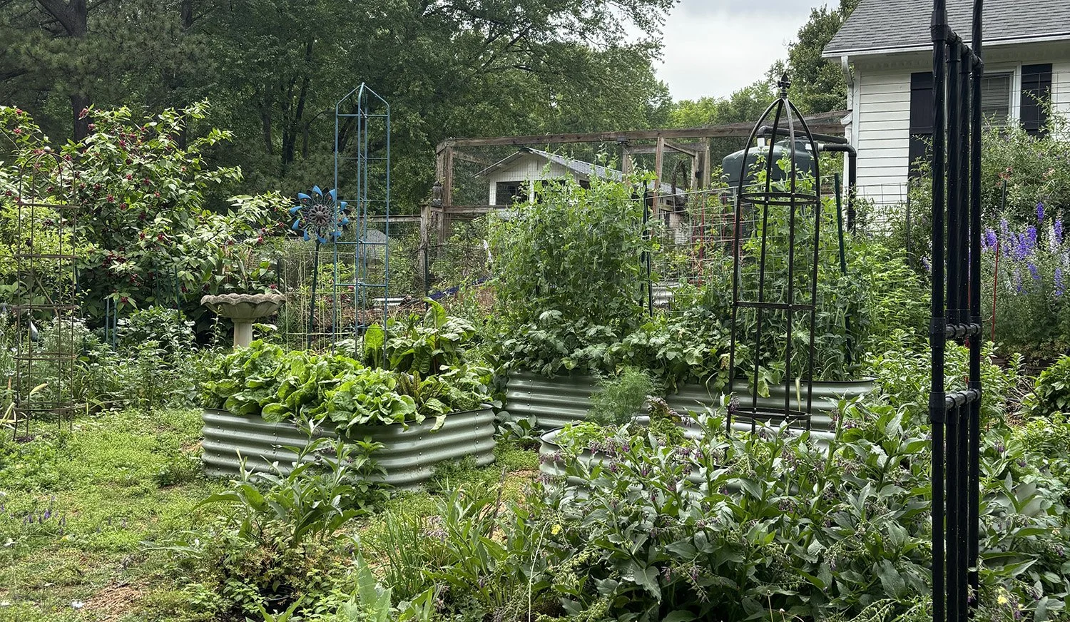 Year Round kitchen garden