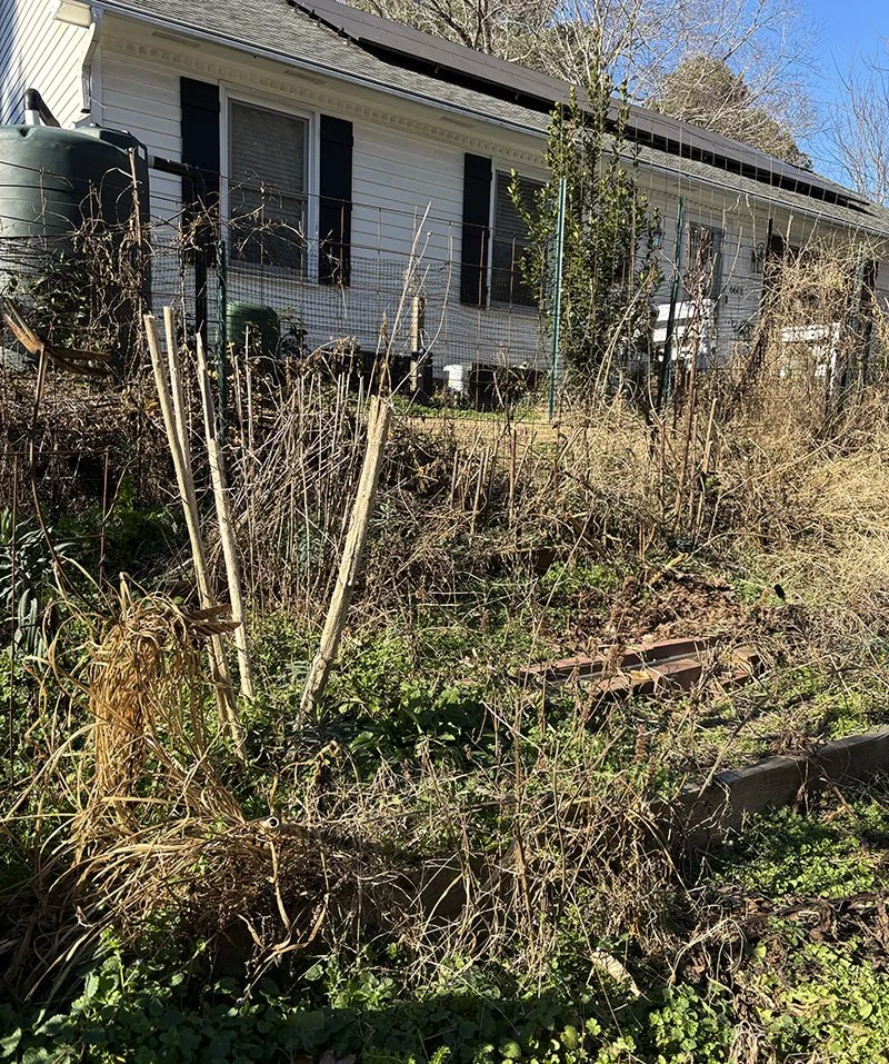 January in the Garden: A Time for Rest and Renewal