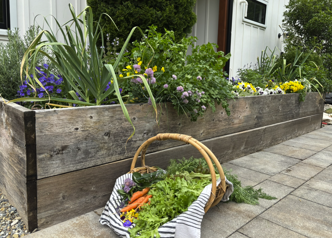 Growing a Kitchen Garden to Feed You All Year