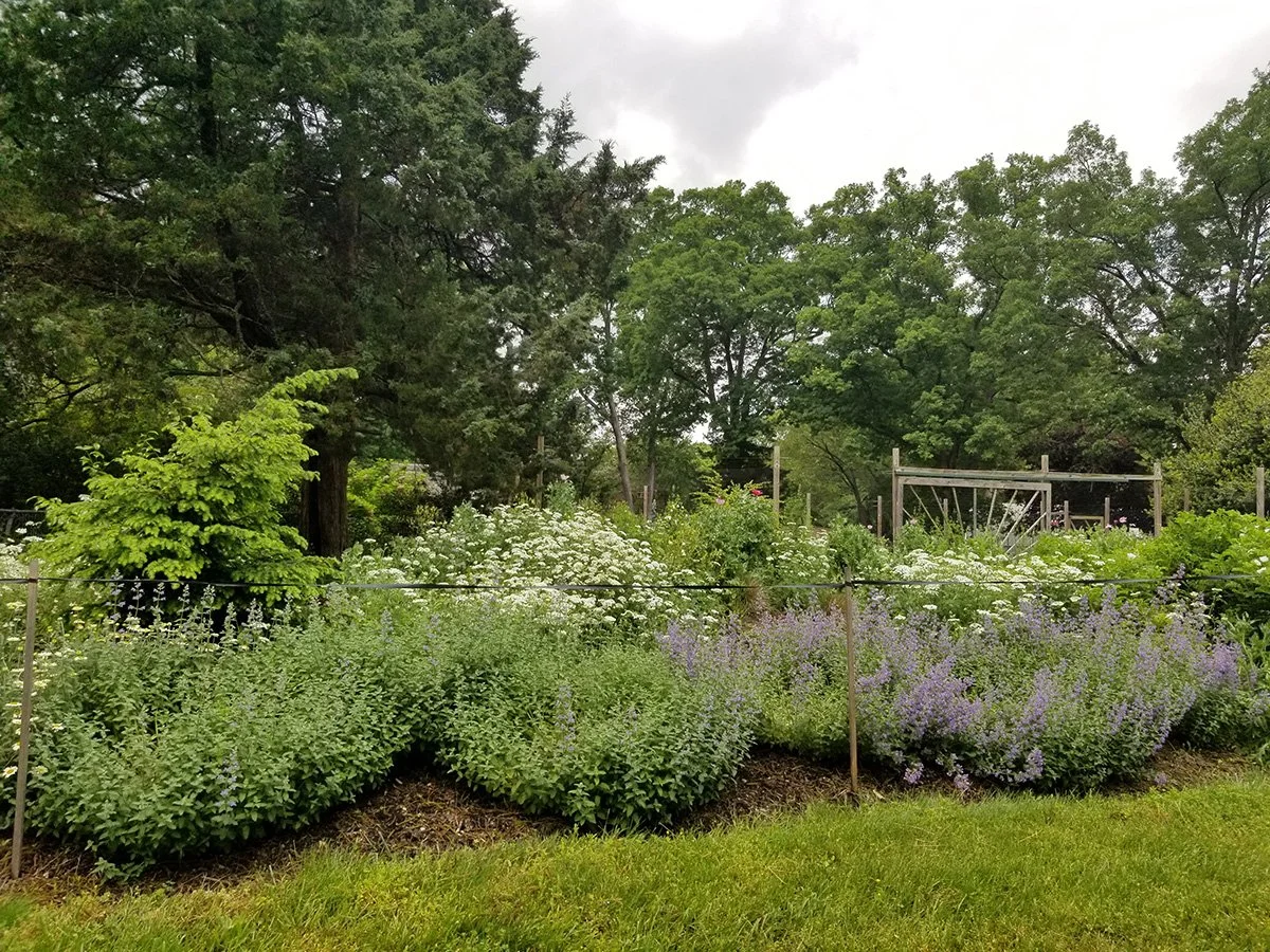 How a Designer Actually Plans an Edible Landscape