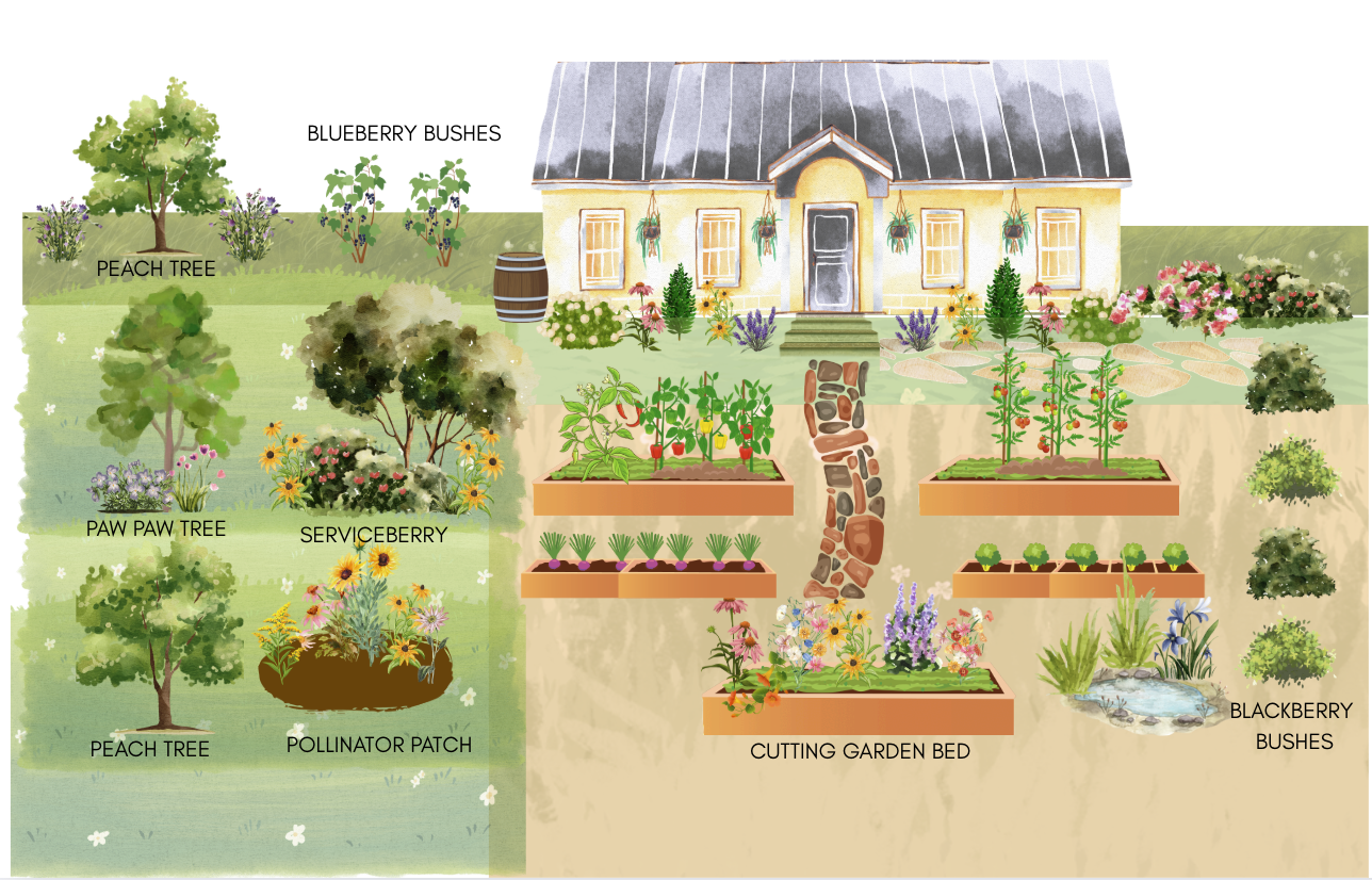 Design of a front yard foodscape garden