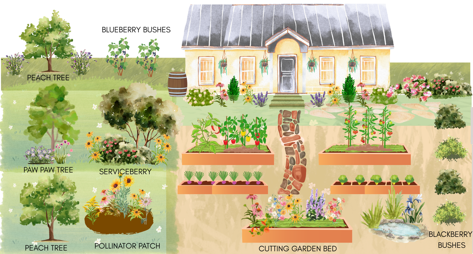 Garden Design and Installation