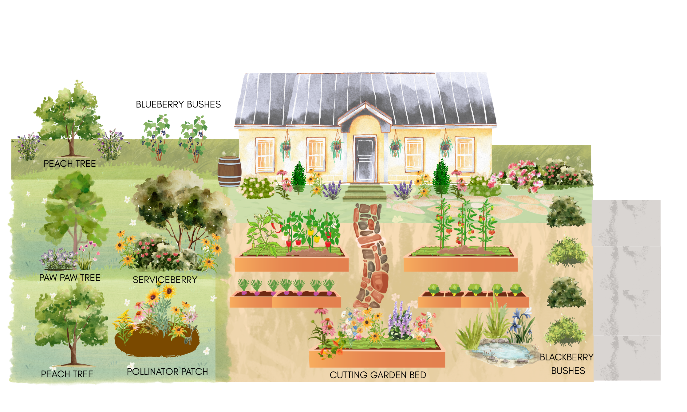 Home with plant designs.png