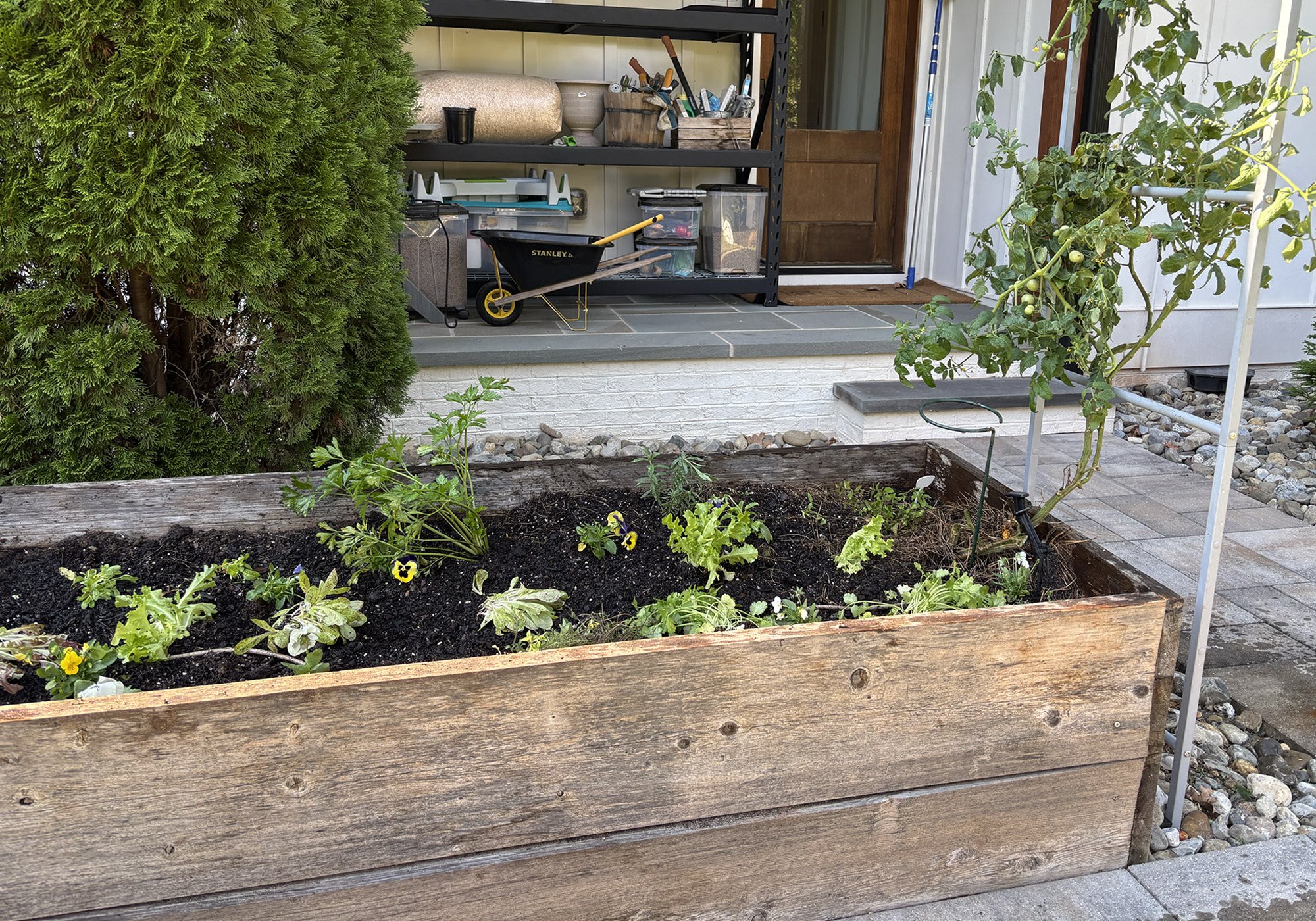 Kitchen Garden in Apex, NC - Sept. 2025