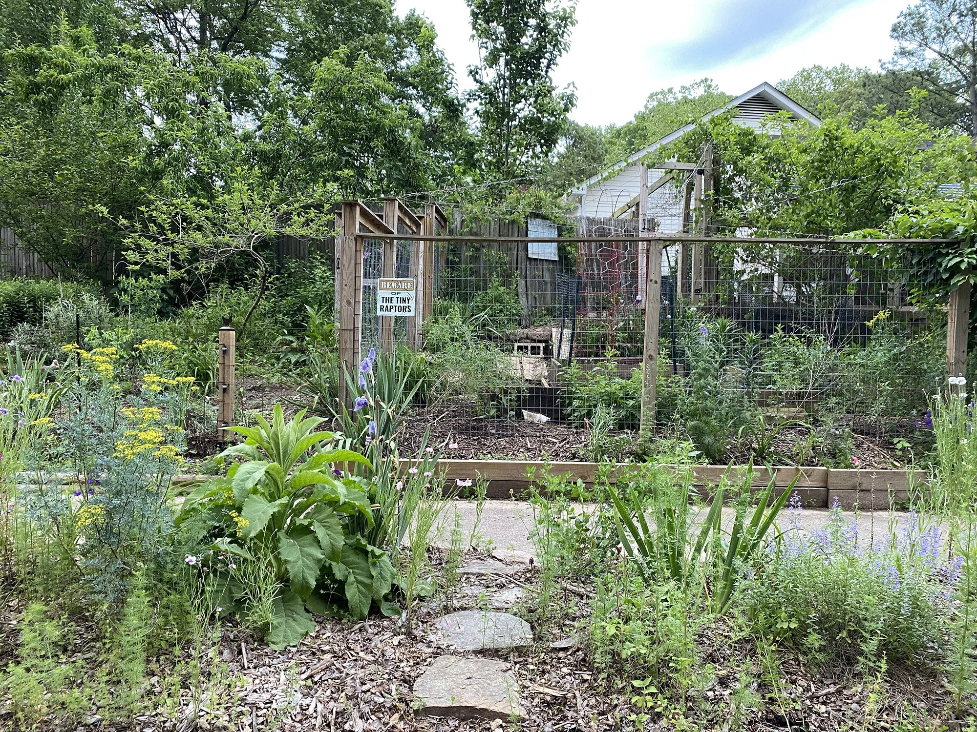 Hellstrip and side yard foodscape in Raleigh, NC