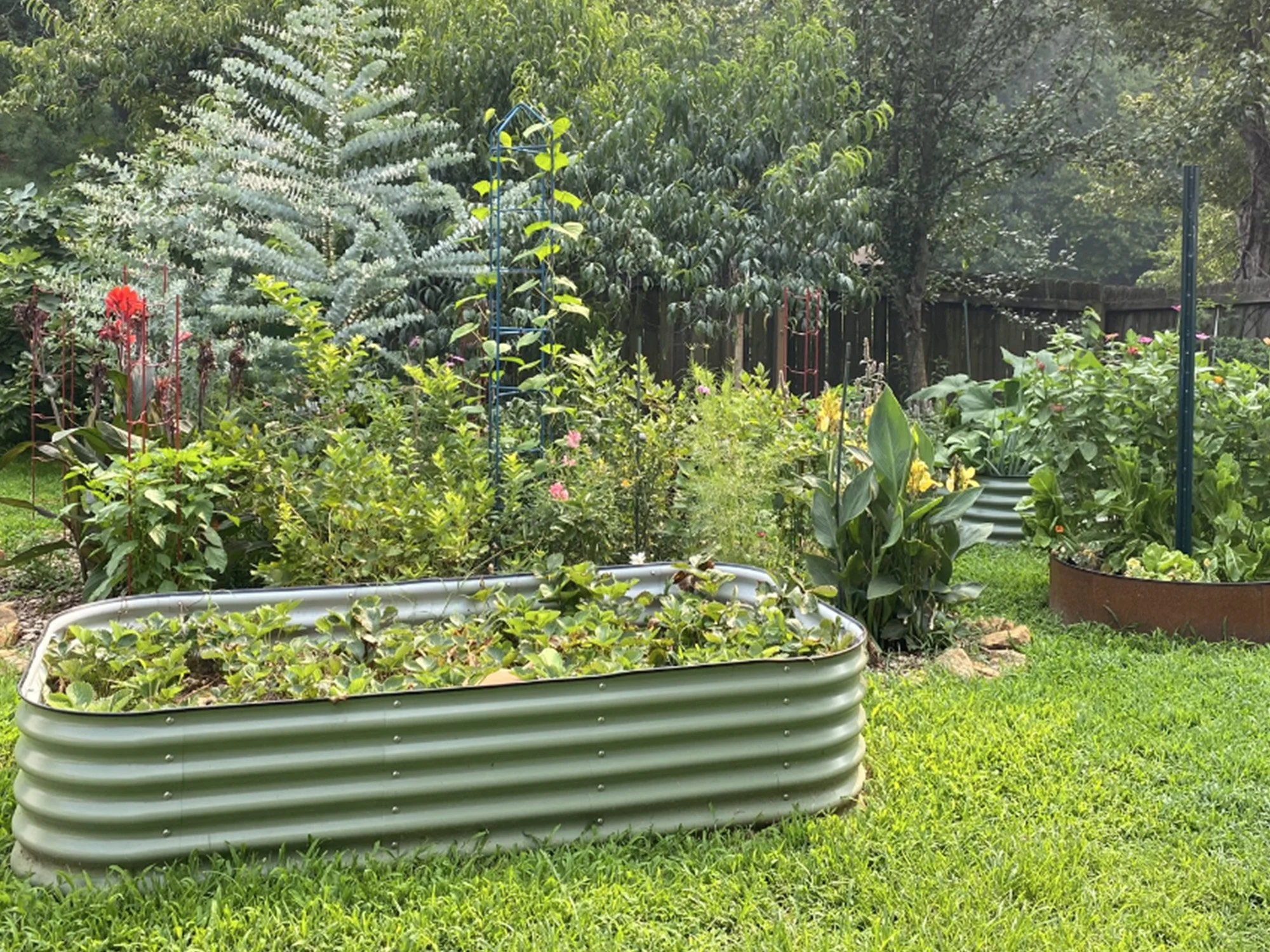 Raised Strawberry Bed & Pollinator Patch in Raleigh, NC