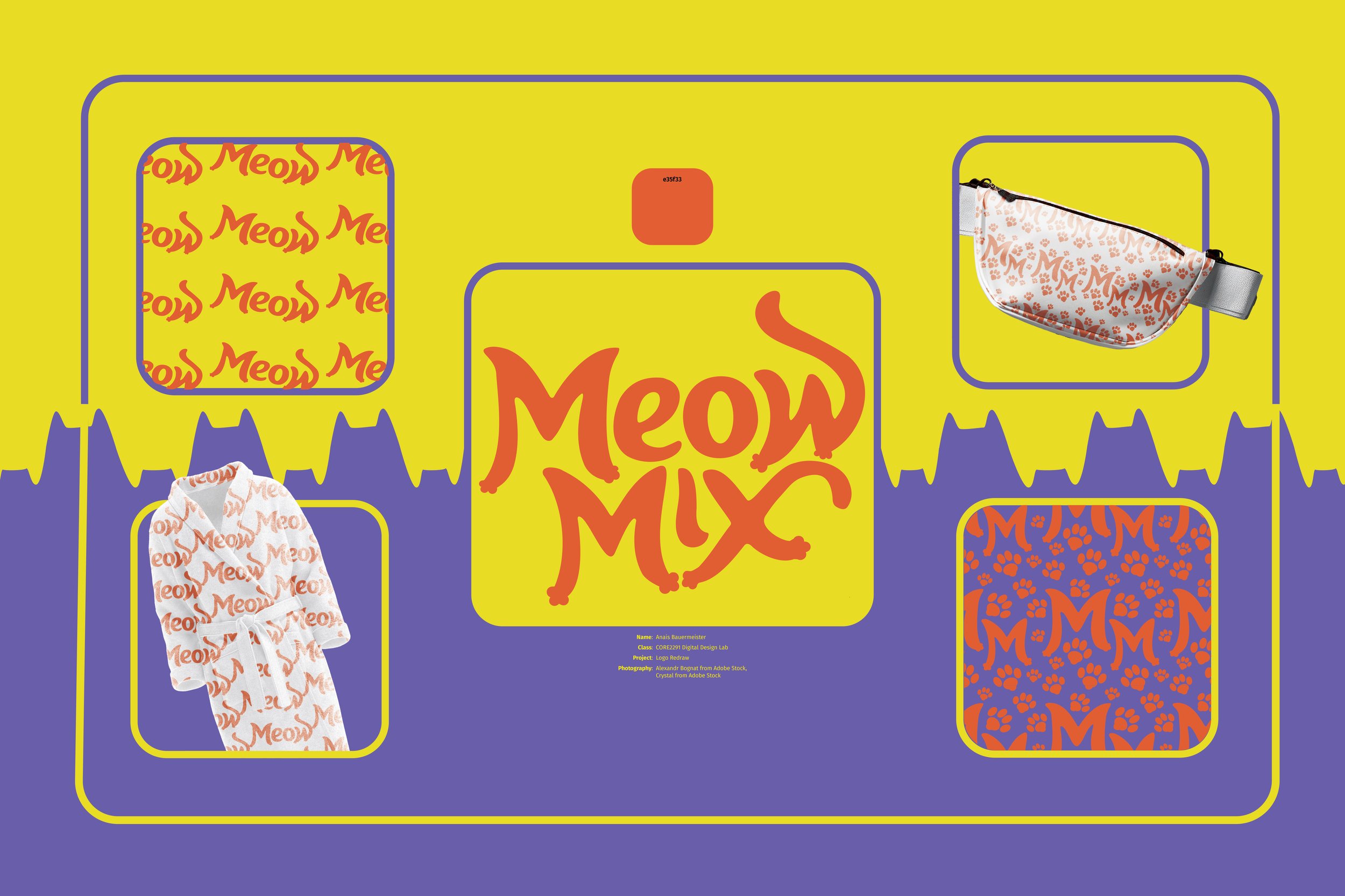 CORE2291 Project 2-Anais Bauermeister.jpg