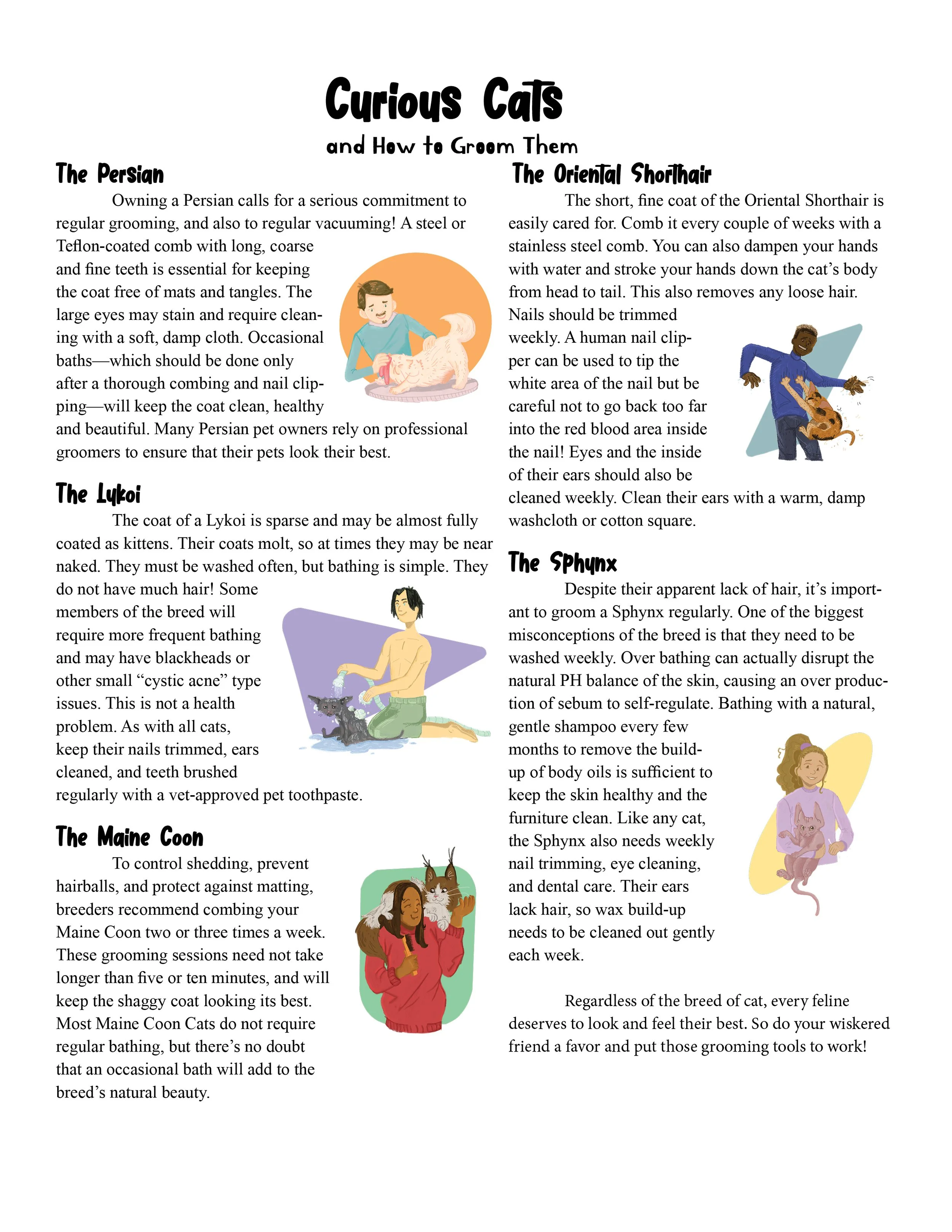 Untitled-1 (1) newspaper.jpg