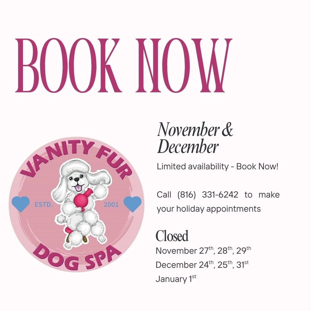 Book your holiday appointments now - we fill up fast!